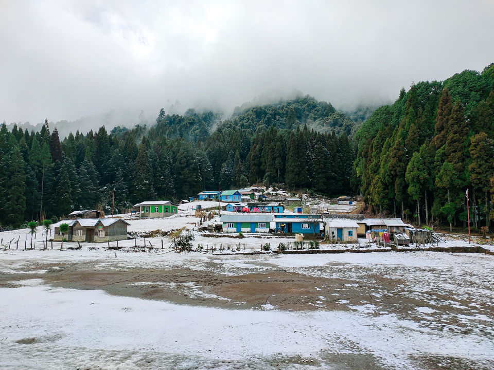 Photo of Home Stay in Sepi Near Srikhola, Rimbick, Darjeeling, West Bengal, India by Sourav Das