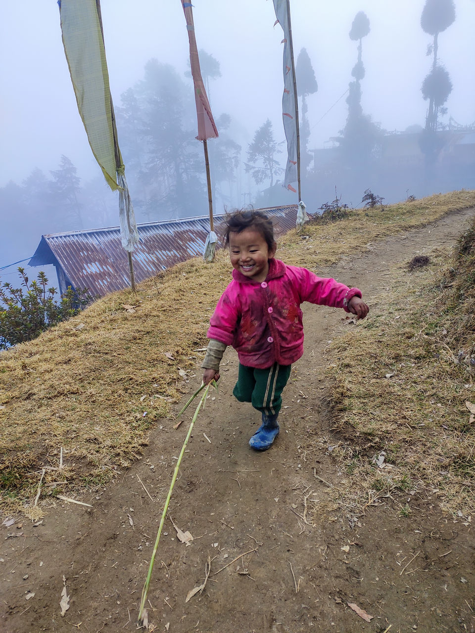 Photo of Home Stay in Sepi Near Srikhola, Rimbick, Darjeeling, West Bengal, India by Sourav Das