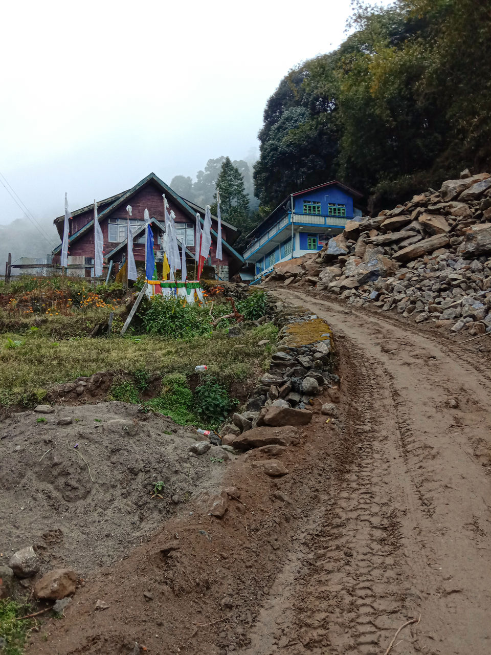 Photo of Home Stay in Sepi Near Srikhola, Rimbick, Darjeeling, West Bengal, India by Sourav Das
