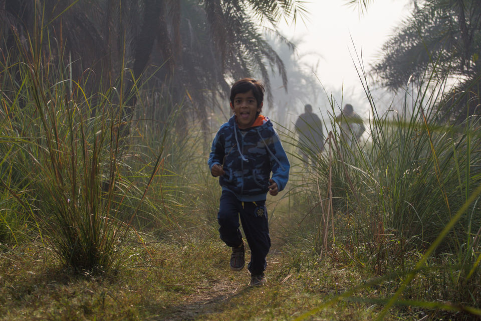 Photo of A Morning at Surajpur Bird Sanctuary by Debajit Bose