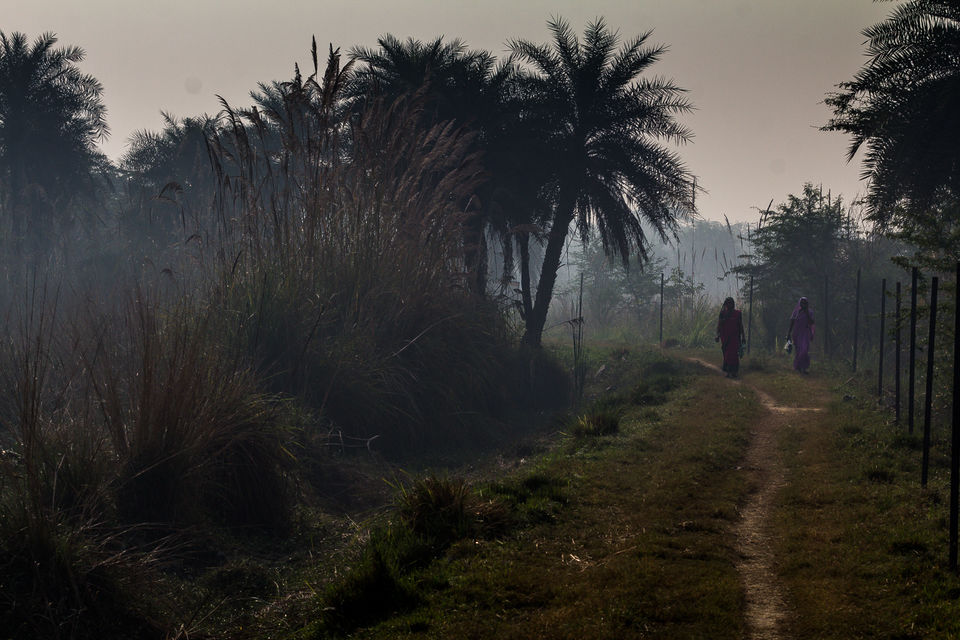 Photo of A Morning at Surajpur Bird Sanctuary by Debajit Bose