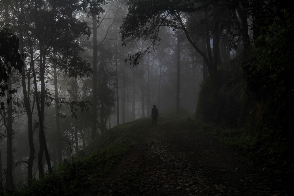Photo of Weekend in Lansdowne, Uttarakhand 6/9 by Debajit Bose