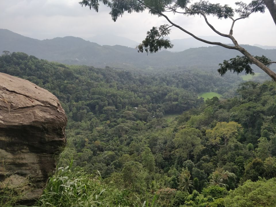 Photo of SELAVI RESORT BENTOTA, Yathramulla Road, Bentota, Sri Lanka by Surbhi Lal