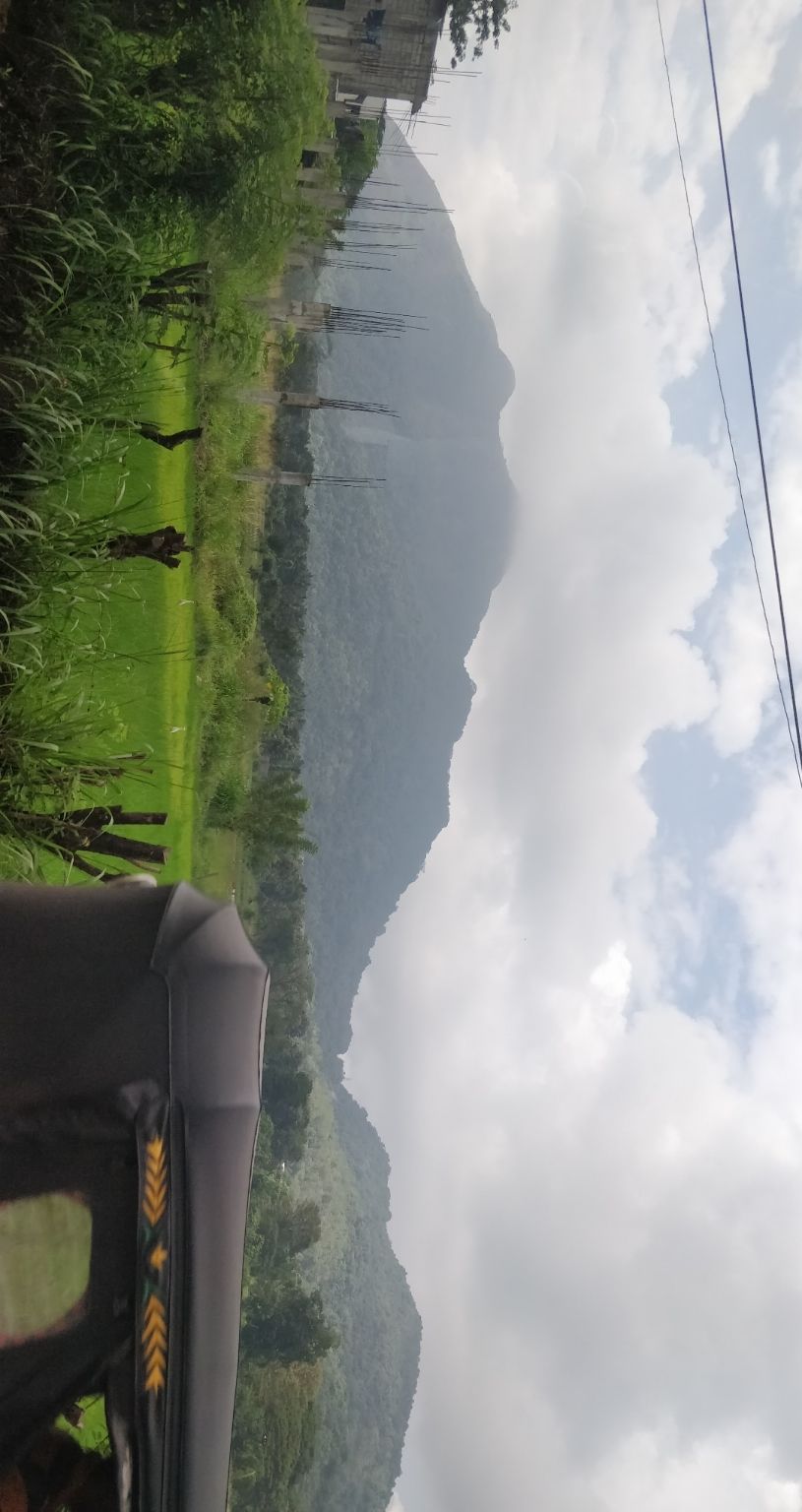 Photo of SELAVI RESORT BENTOTA, Yathramulla Road, Bentota, Sri Lanka by Surbhi Lal