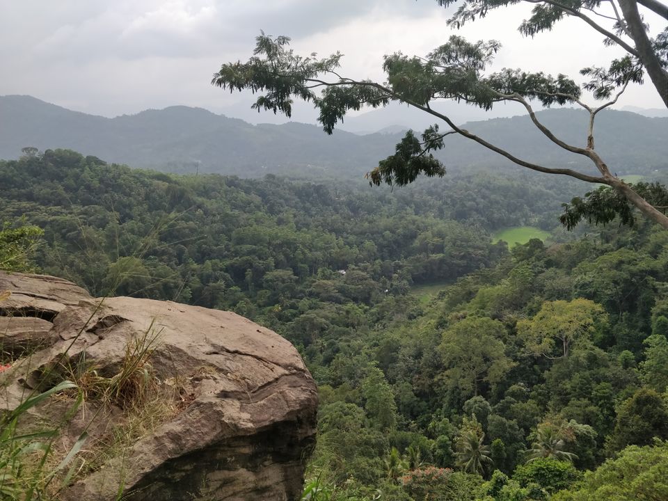 Photo of SELAVI RESORT BENTOTA, Yathramulla Road, Bentota, Sri Lanka by Surbhi Lal