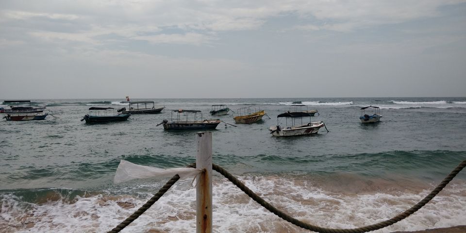 Photo of Kandalama, Sri Lanka by Surbhi Lal