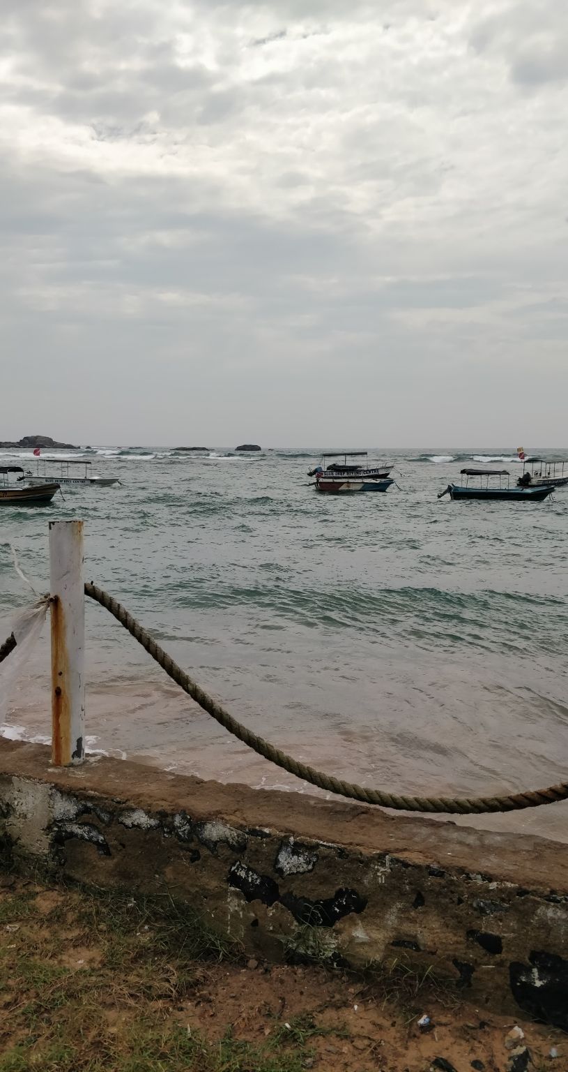 Photo of Kandalama, Sri Lanka by Surbhi Lal