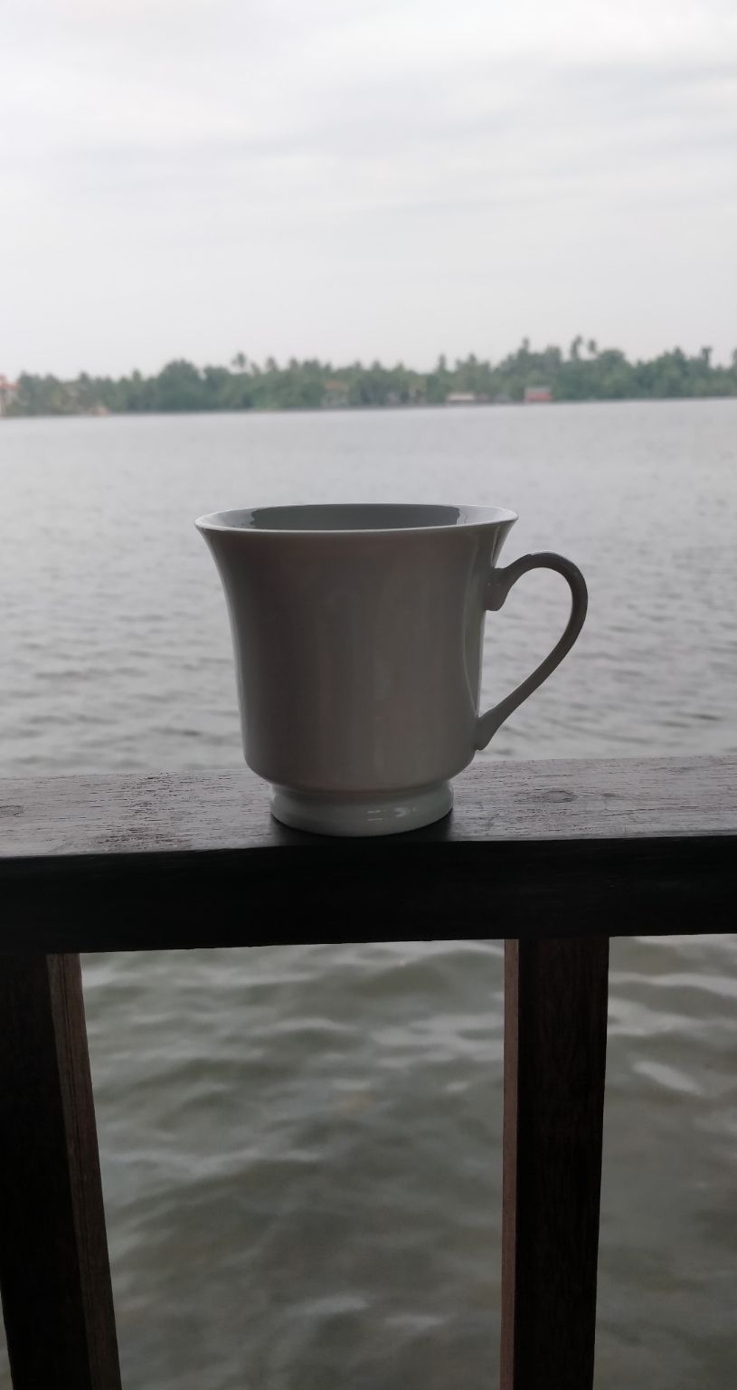 Photo of Kandalama, Sri Lanka by Surbhi Lal