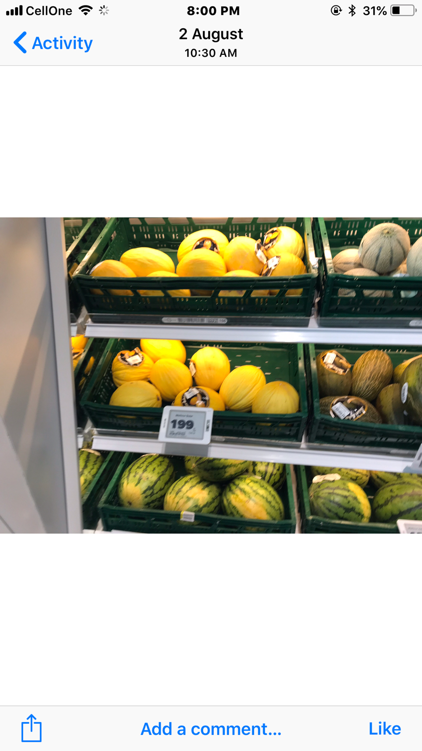 Photo of Vik, Iceland by Shylesh