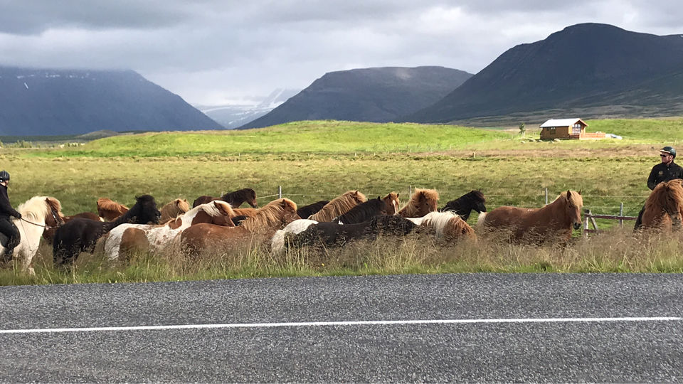 Photo of Grundarfjörður, Iceland by Shylesh