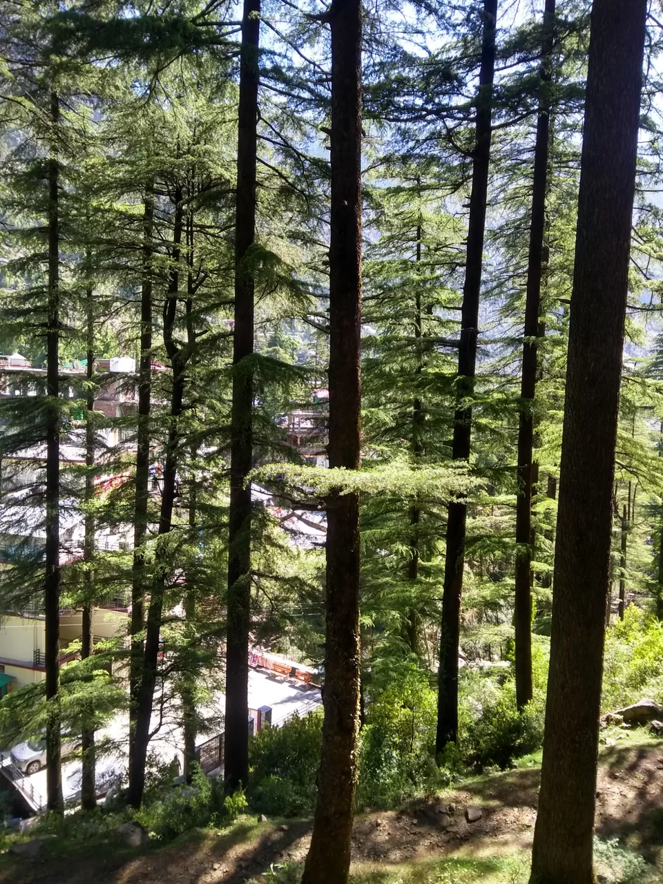 Photo of Bhagsu Nag, Dharamshala, Himachal Pradesh, India by Gauree Gandhi