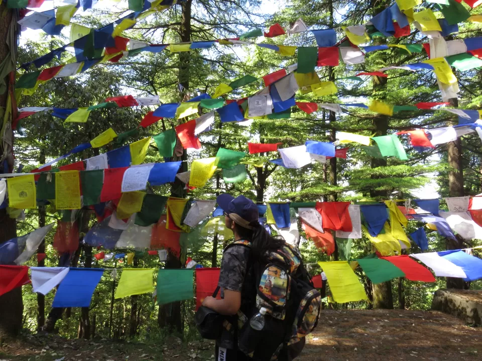 Photo of Triund Trek, Trail to Triund Hill, Dharamshala, Himachal Pradesh, India by Gauree Gandhi