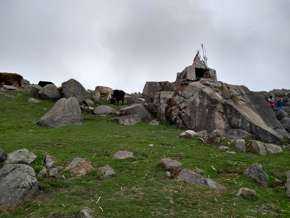 Photo of Triund, Dharamshala, Himachal Pradesh, India by Gauree Gandhi