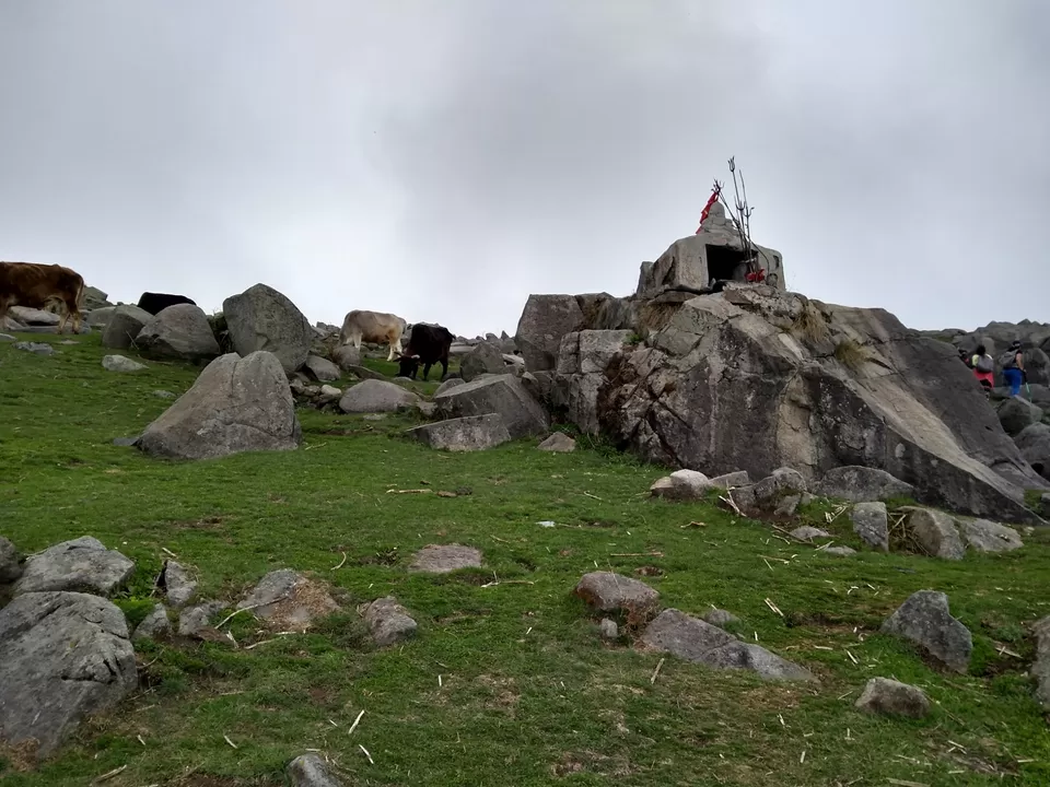 Photo of Triund, Dharamshala, Himachal Pradesh, India by Gauree Gandhi
