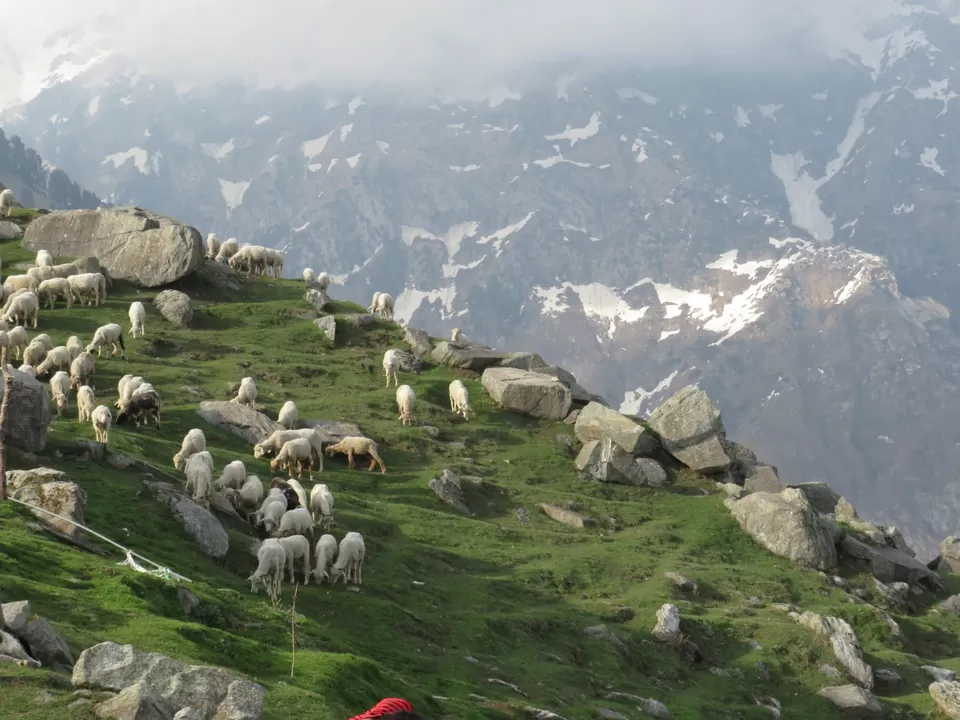 Photo of Triund, Dharamshala, Himachal Pradesh, India by Gauree Gandhi