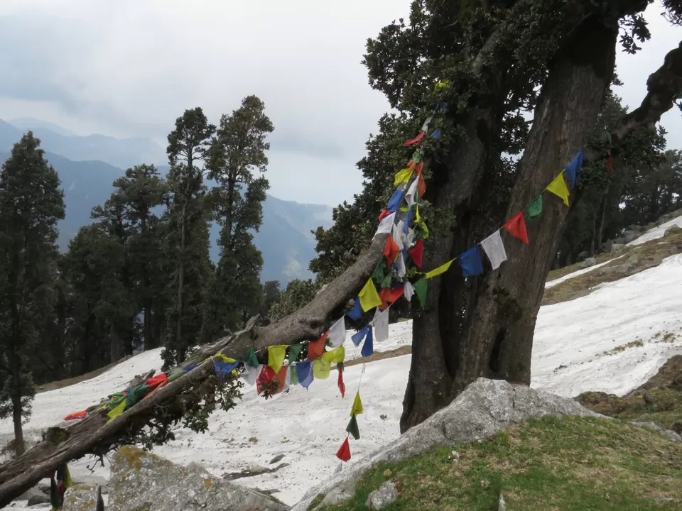 Photo of Laka Glacier, Illaqa, Himachal Pradesh, India by Gauree Gandhi
