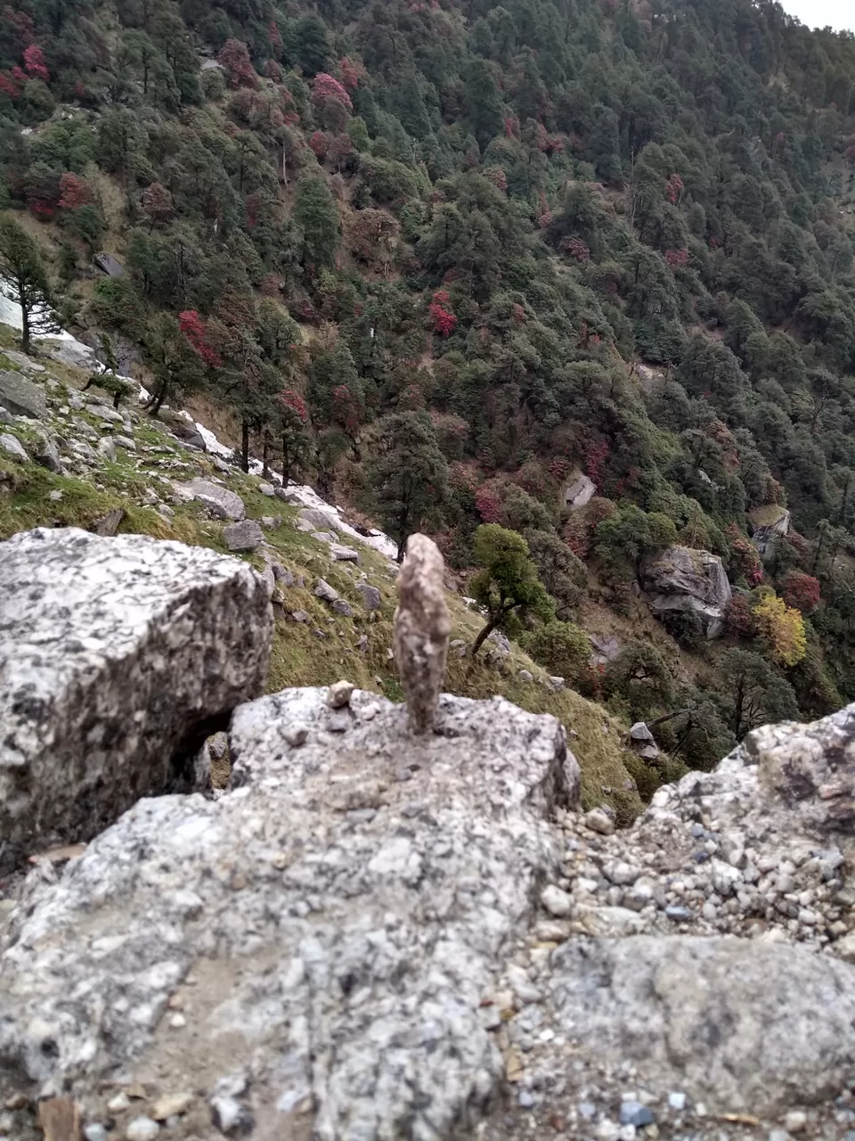 Photo of Triund, Himachal Pradesh by Gauree Gandhi