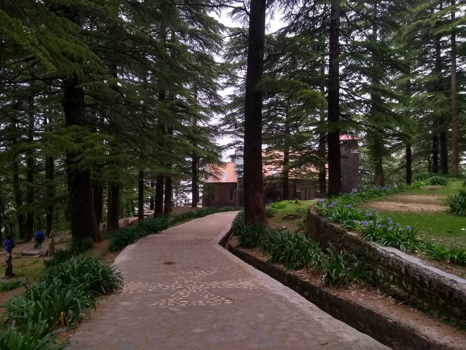 Photo of St. John in the Wilderness, Road to Naddi Village from McLeod Ganj, McLeod Ganj, Dharamshala, Himachal Pradesh, India by Gauree Gandhi