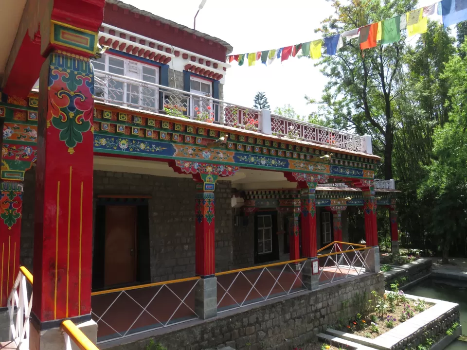 Photo of Trek to Triund : The Crown Jewel of Dharamshala. by Gauree Gandhi