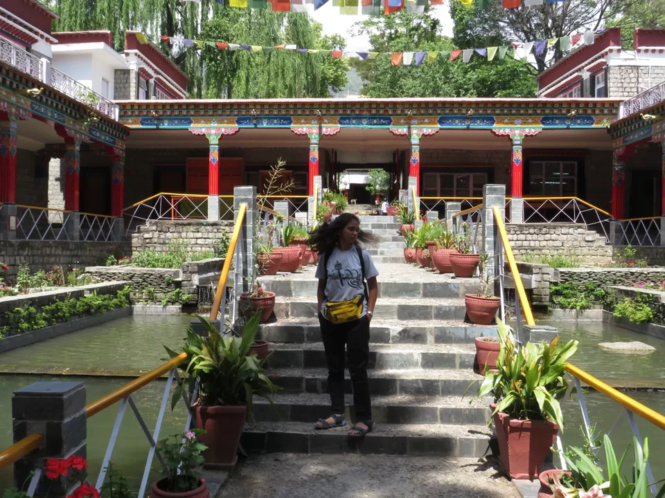 Photo of Trek to Triund : The Crown Jewel of Dharamshala. by Gauree Gandhi
