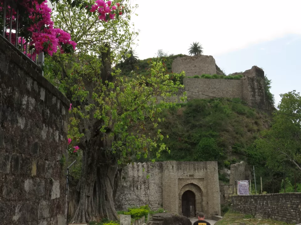 Photo of Kangra Fort, Old Kangra, Kangra, Himachal Pradesh, India by Gauree Gandhi