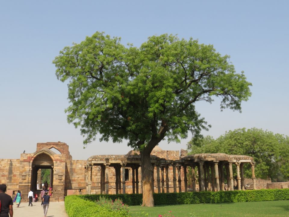 Photo of Qutub Minar, Seth Sarai, Mehrauli, New Delhi, Delhi, India by Gauree Gandhi