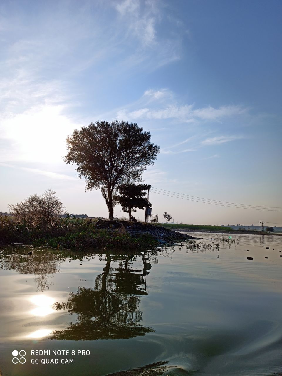 Photo of Take a Ferry to This Bird Paradise Just a Few Hours From Pune! by Gauree Gandhi