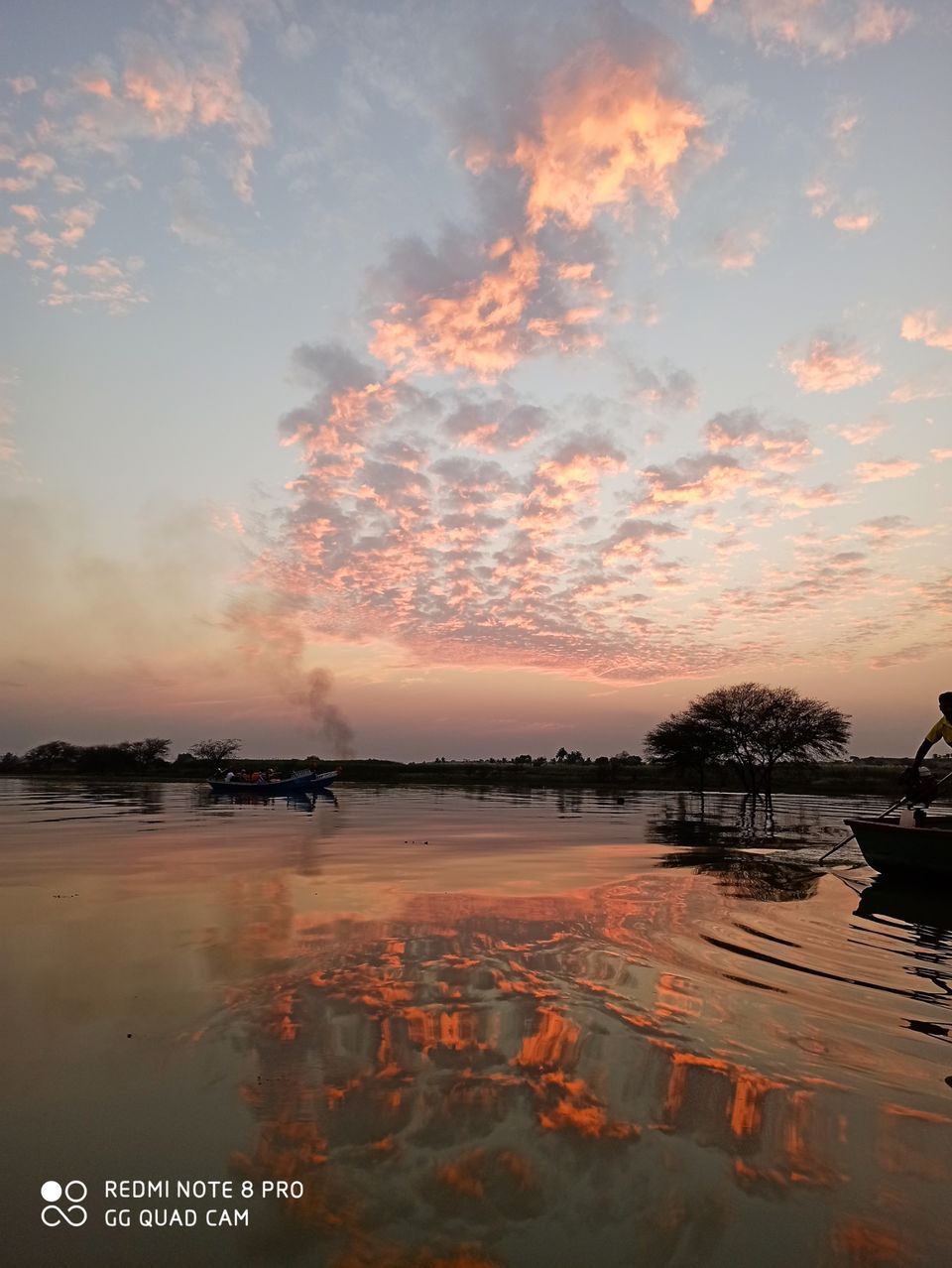 Photo of Take a Ferry to This Bird Paradise Just a Few Hours From Pune! by Gauree Gandhi