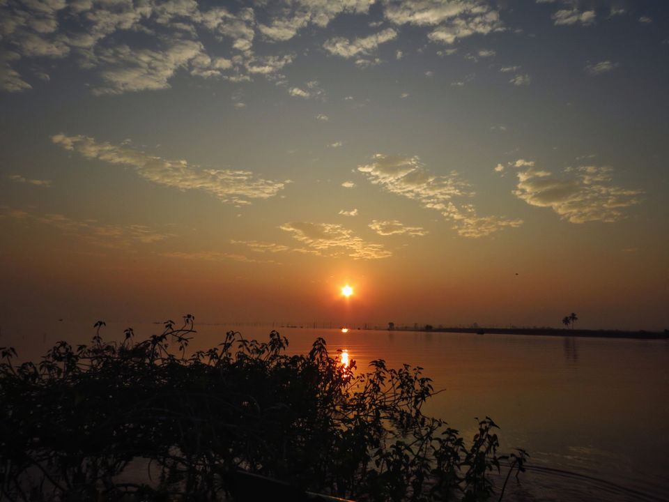 Photo of Take a Ferry to This Bird Paradise Just a Few Hours From Pune! by Gauree Gandhi