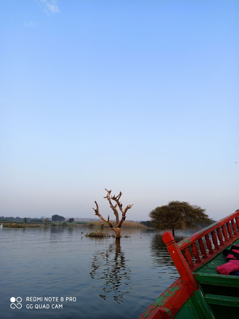 Photo of Take a Ferry to This Bird Paradise Just a Few Hours From Pune! by Gauree Gandhi