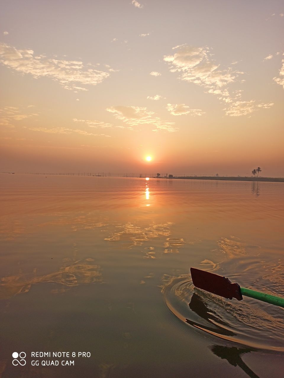 Photo of Take a Ferry to This Bird Paradise Just a Few Hours From Pune! by Gauree Gandhi