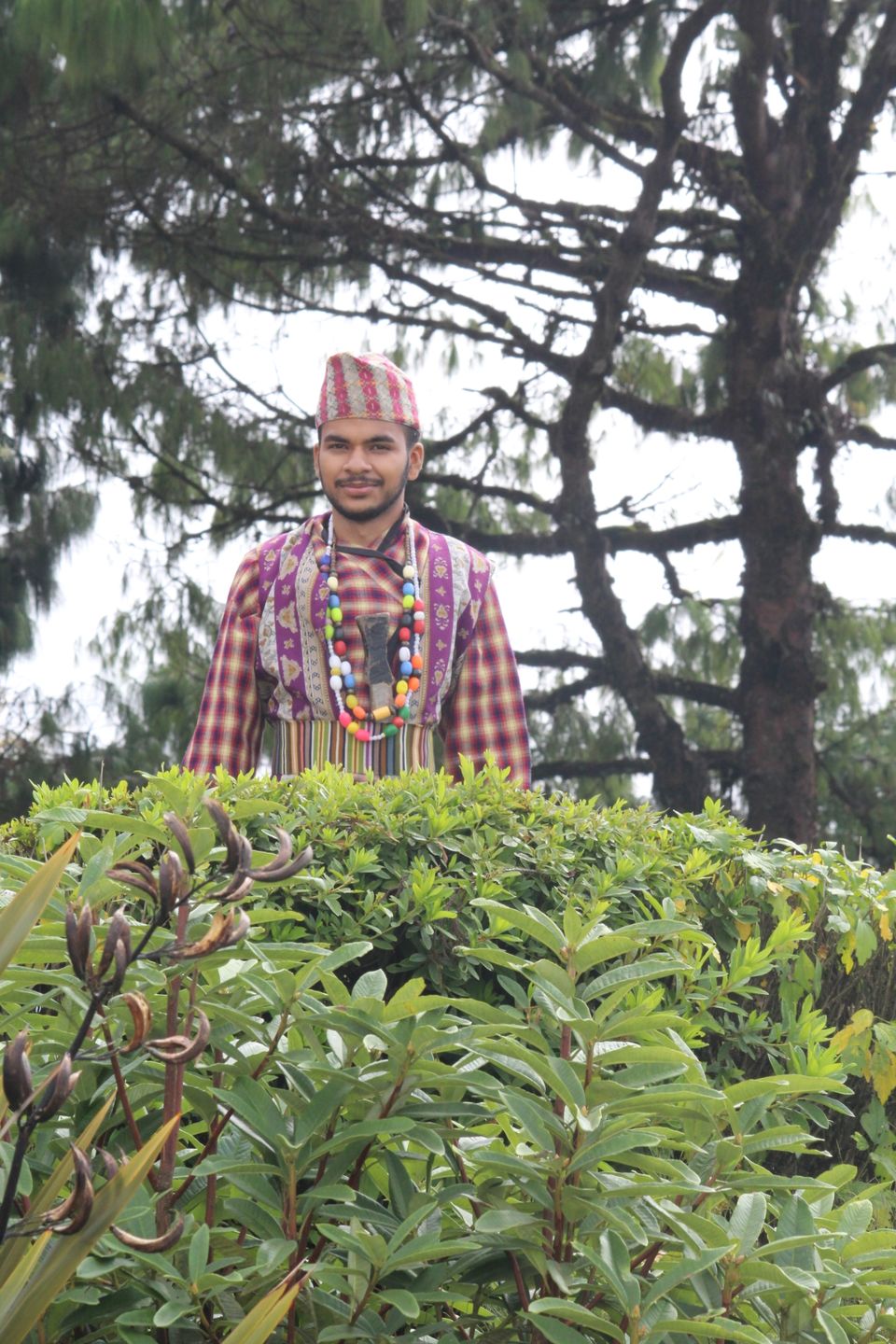Photo of Darjeeling by Parimal Patel