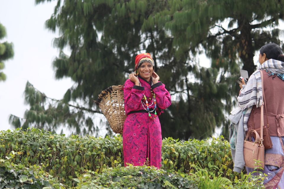 Photo of Darjeeling by Parimal Patel
