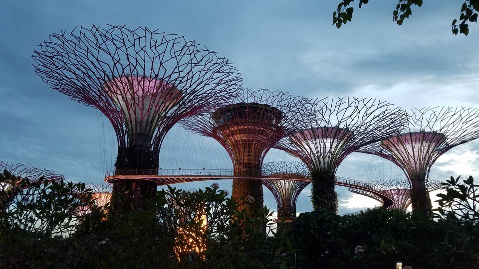 Photo of 3 days in Singapore 1/10 by Mohit