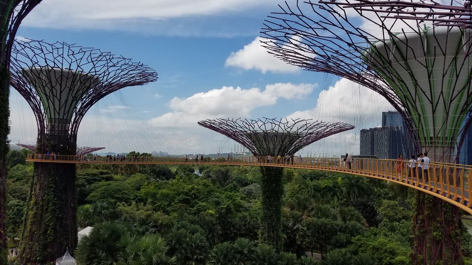 Photo of 3 days in Singapore 5/10 by Mohit