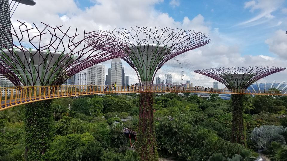 Photo of 3 days in Singapore 7/10 by Mohit