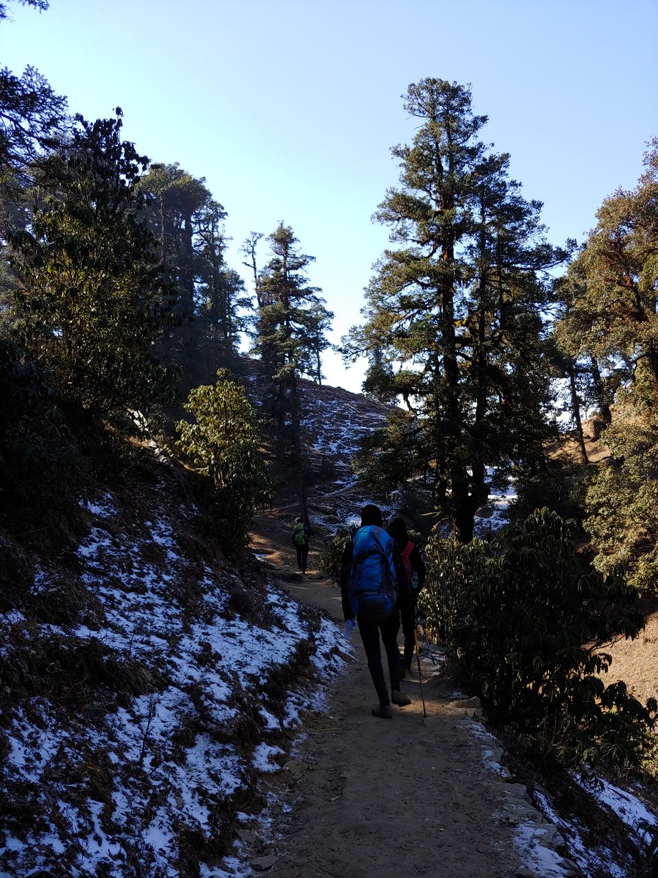 Photo of Brahmatal Trek- The Land of Goddess Brahma by Mahrshi Rawal