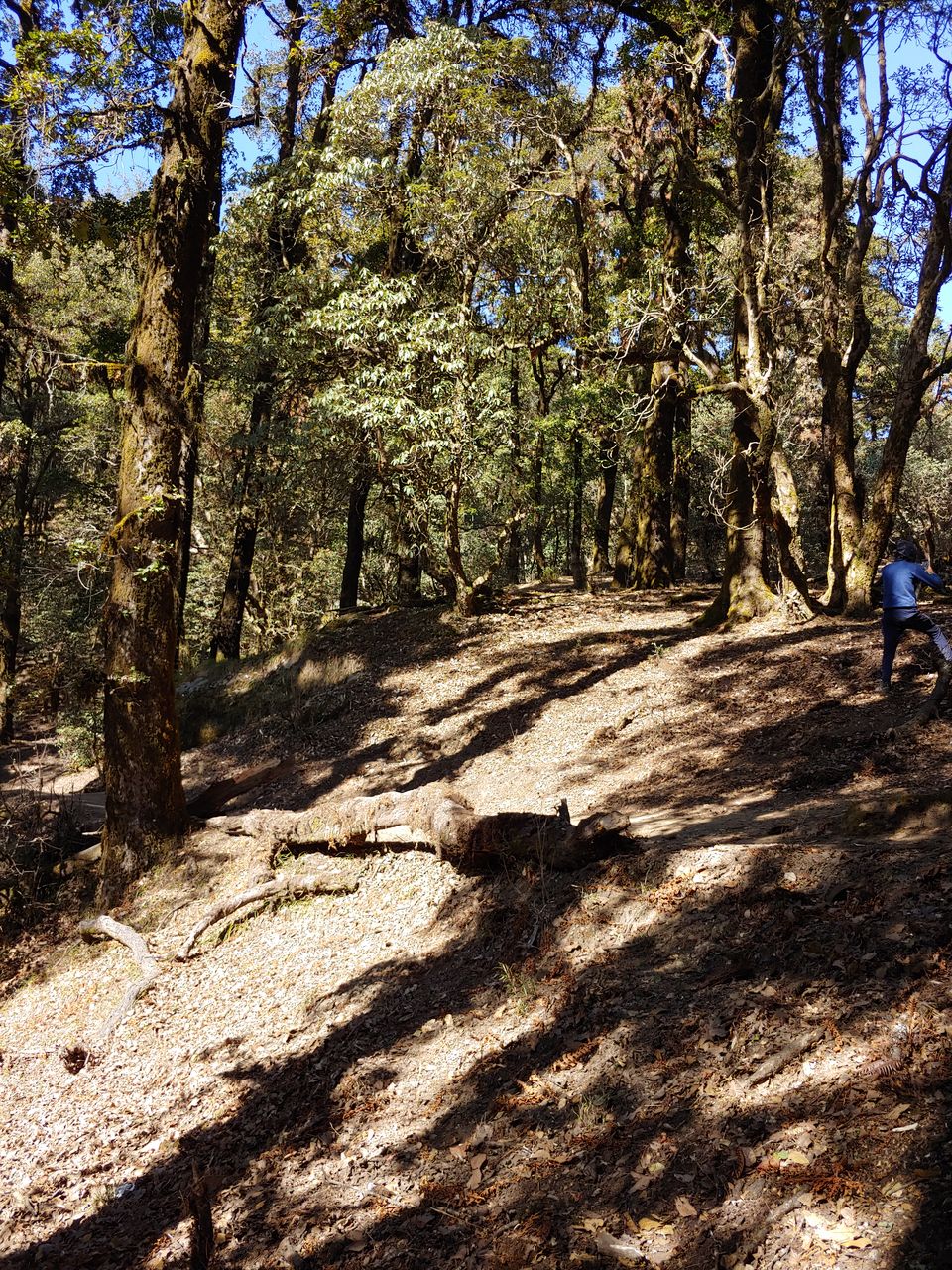 Photo of Brahmatal Trek- The Land of Goddess Brahma by Mahrshi Rawal