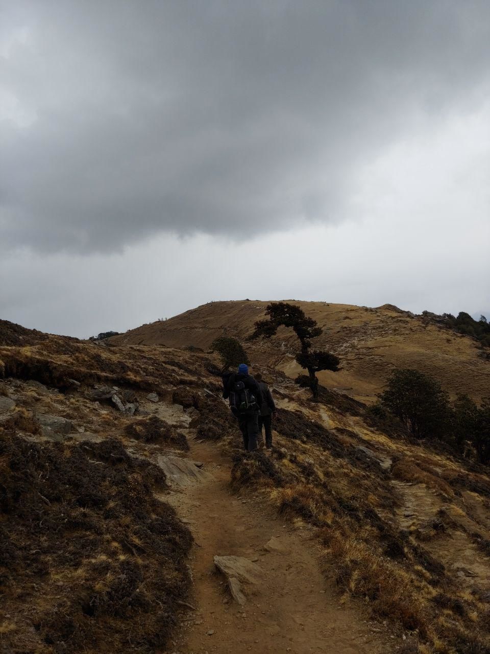 Photo of Brahmatal Trek- The Land of Goddess Brahma by Mahrshi Rawal