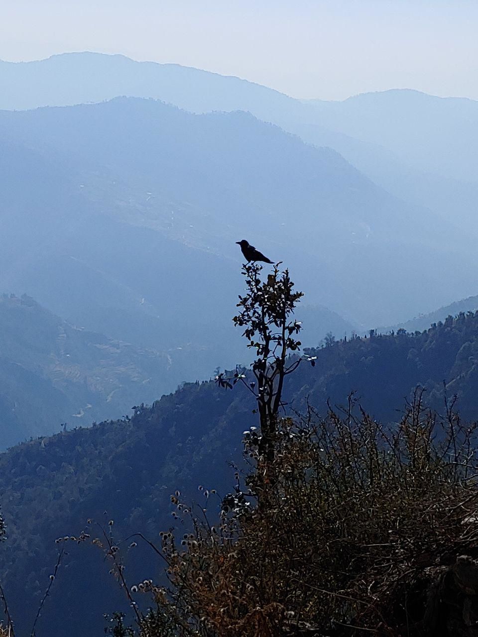Photo of Brahmatal Trek- The Land of Goddess Brahma by Mahrshi Rawal