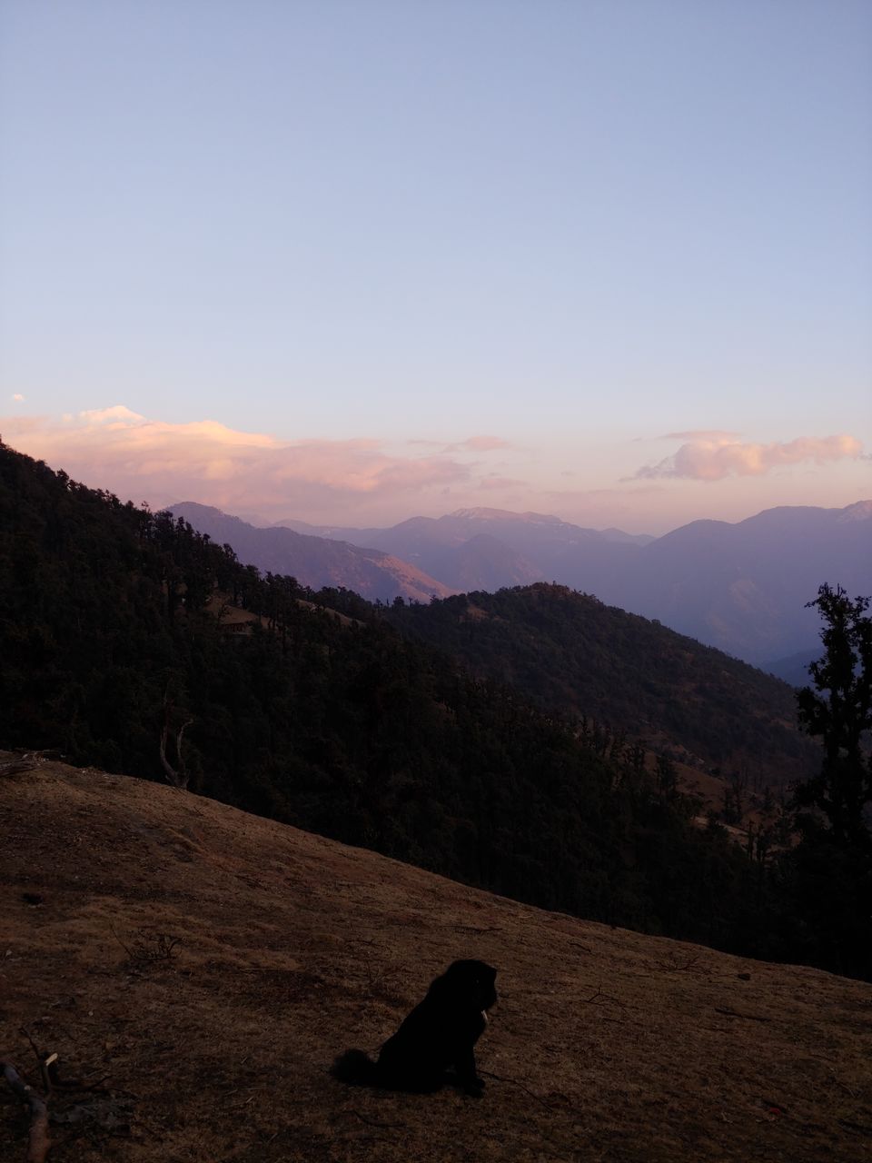 Photo of Brahmatal Trek- The Land of Goddess Brahma by Mahrshi Rawal