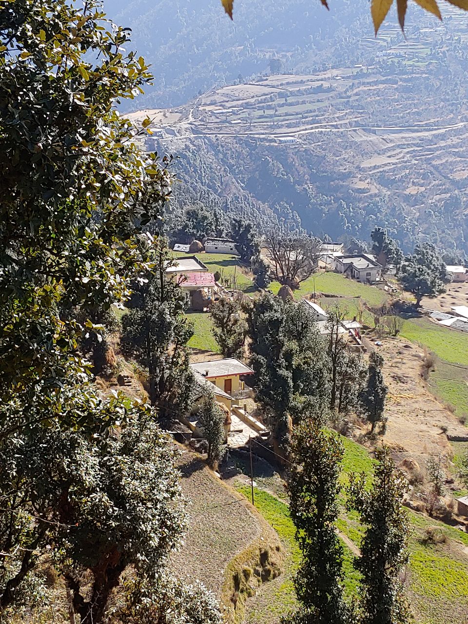 Photo of Brahmatal Trek- The Land of Goddess Brahma by Mahrshi Rawal
