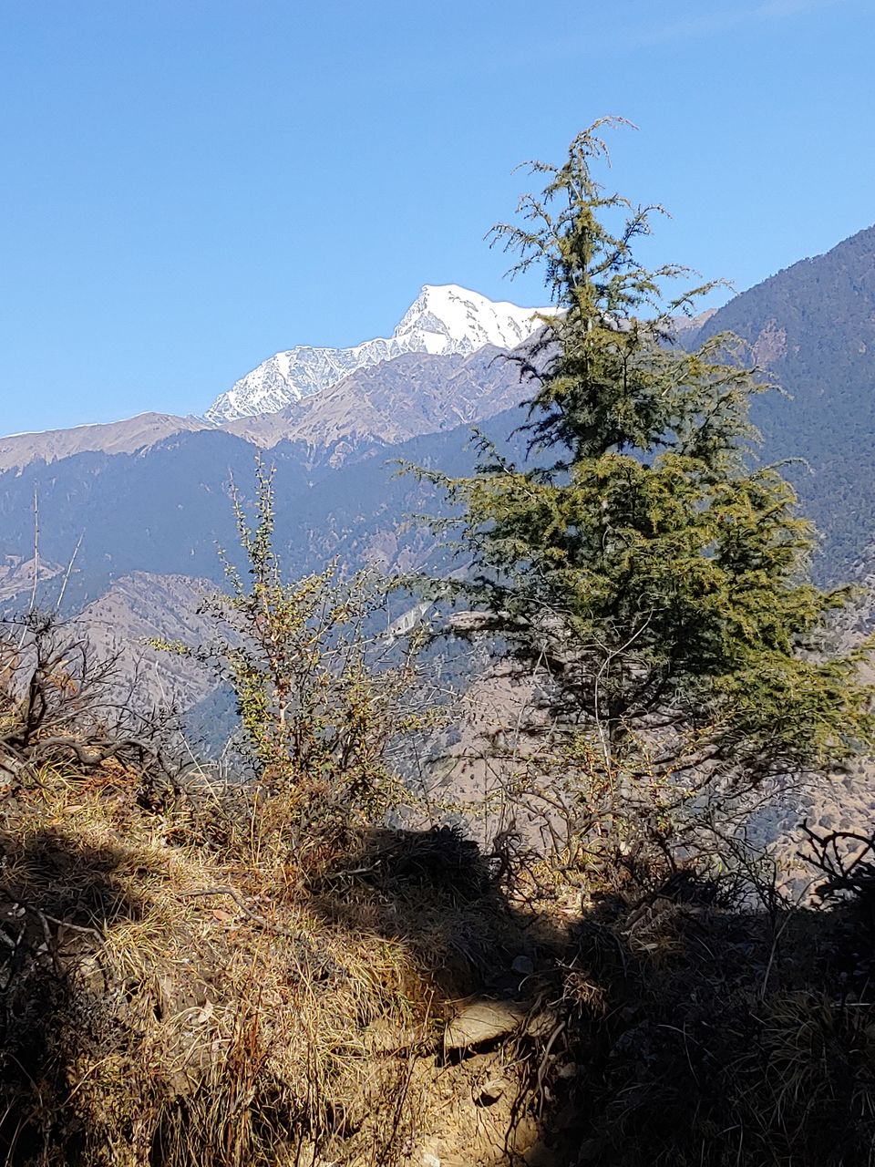 Photo of Brahmatal Trek- The Land of Goddess Brahma by Mahrshi Rawal