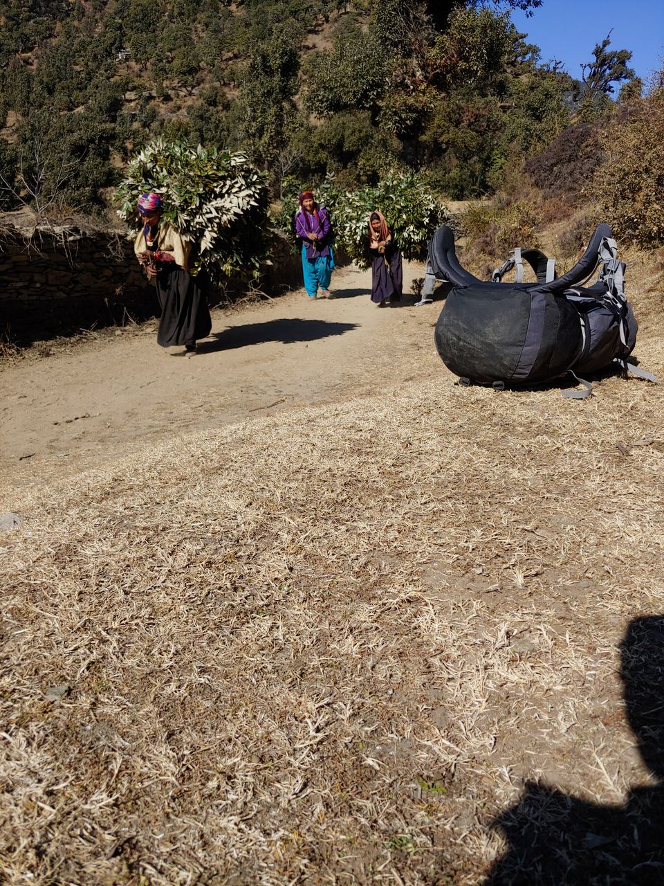 Photo of Brahmatal Trek- The Land of Goddess Brahma by Mahrshi Rawal