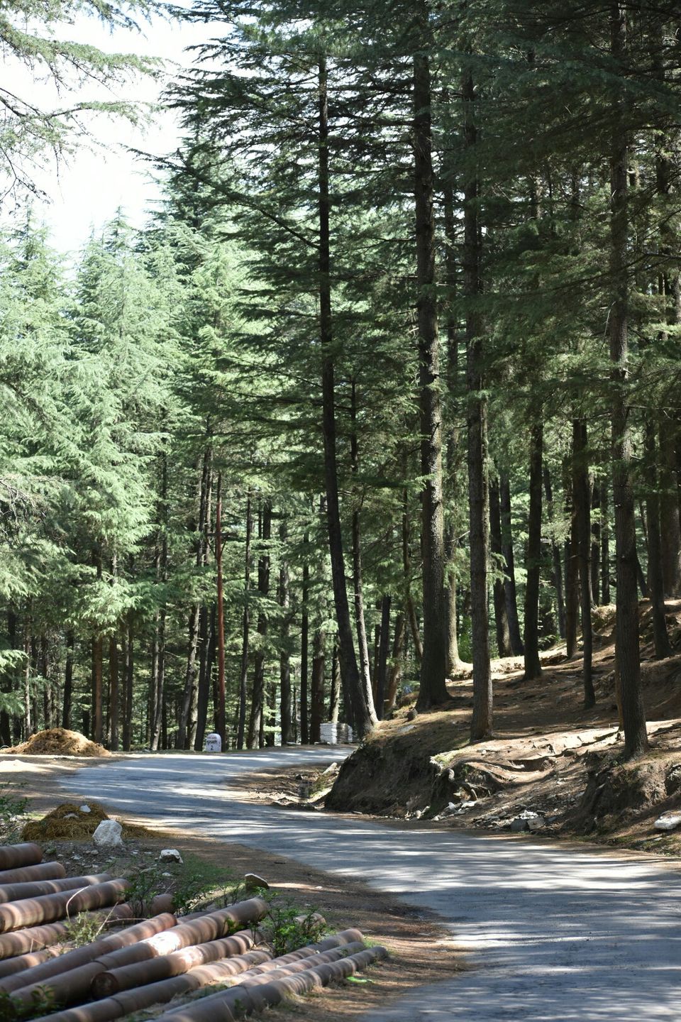 Photo of Road trip to sach pass. by om modi