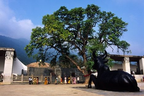 Photo of A Life Transforming Trip To South India! 1/17 by Vineet Ramchandani