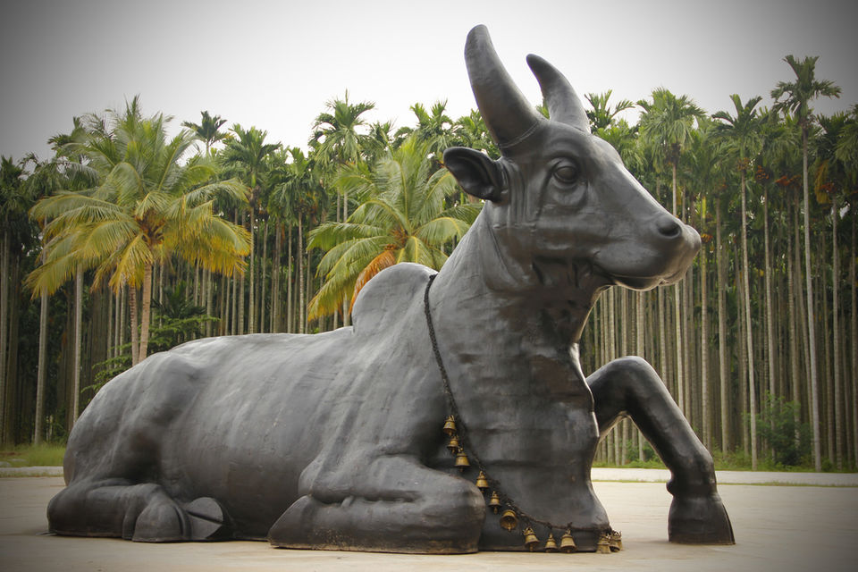 Photo of A Life Transforming Trip To South India! 11/17 by Vineet Ramchandani