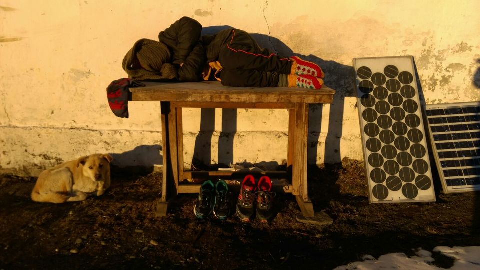 Photo of PART II: The universe conspired – Har Ki Doon, trek, the snow and a dog 2/17 by Mamta Banga