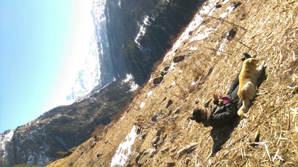 Photo of PART II: The universe conspired – Har Ki Doon, trek, the snow and a dog 3/17 by Mamta Banga
