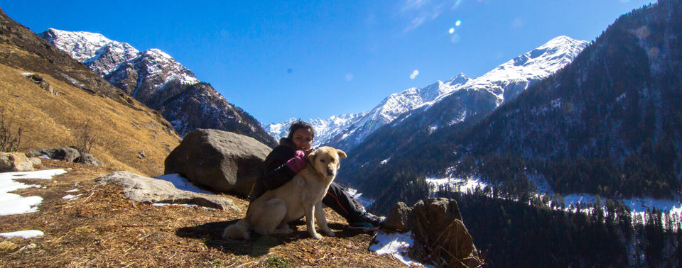 Photo of PART II: The universe conspired – Har Ki Doon, trek, the snow and a dog 15/17 by Mamta Banga